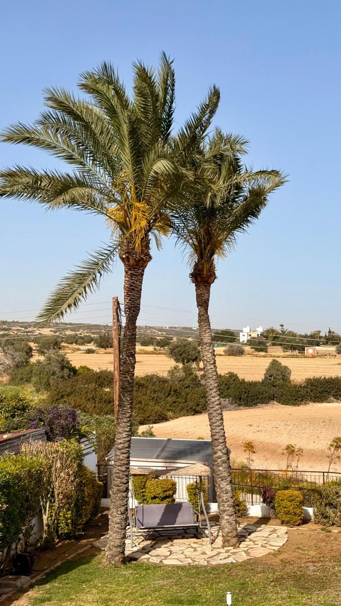 Villa Hera Agios Theodoros Ngoại thất bức ảnh